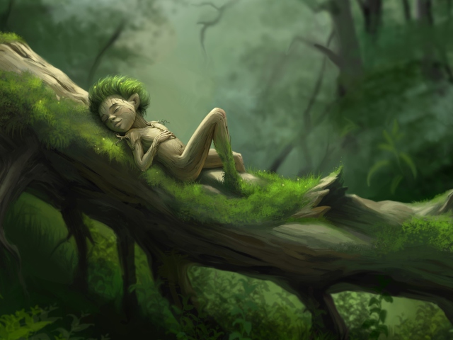 Das Forest Sleep Wallpaper 640x480