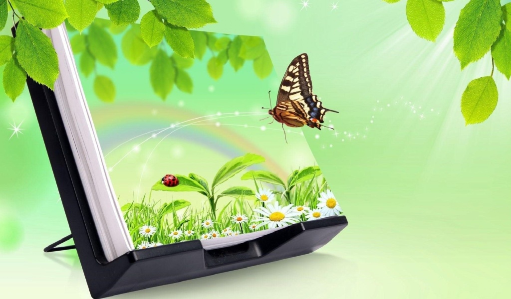Sfondi 3D Green Nature with Butterfly 1024x600