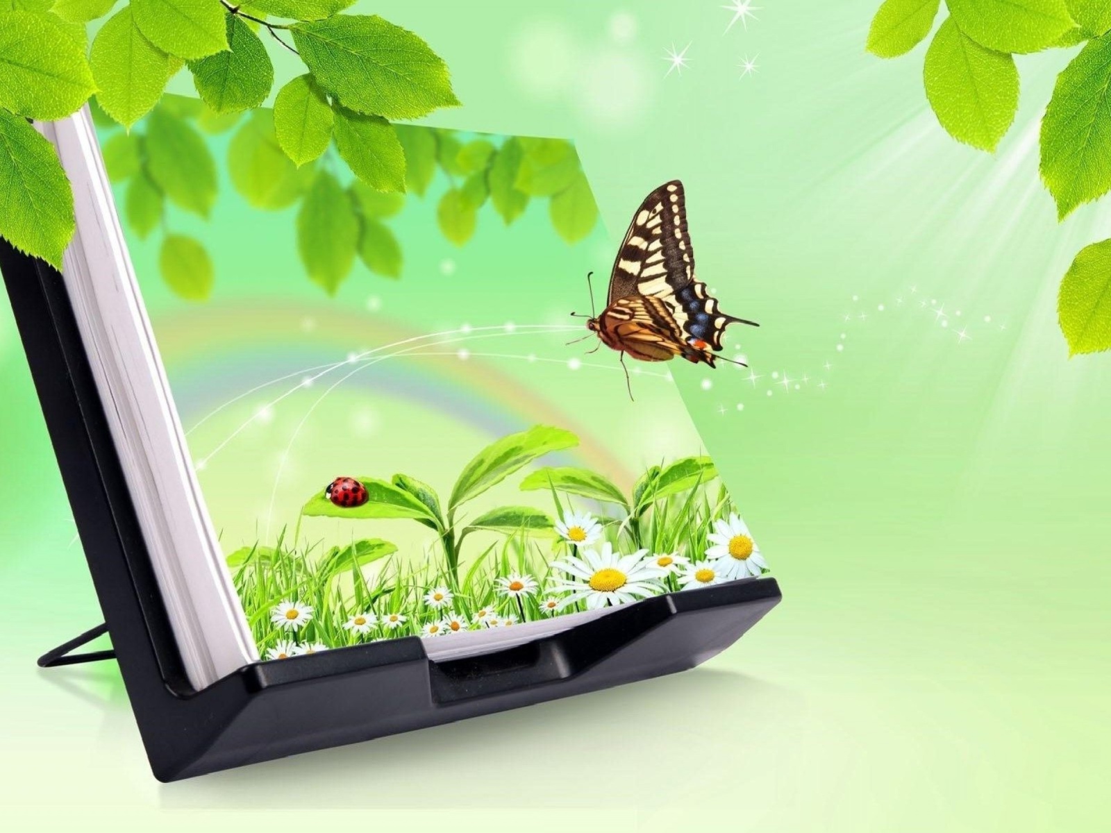 Das 3D Green Nature with Butterfly Wallpaper 1600x1200