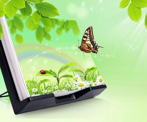 Sfondi 3D Green Nature with Butterfly 480x400