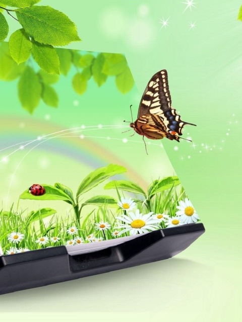 Sfondi 3D Green Nature with Butterfly 480x640