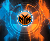 Fondo de pantalla New York Knicks 176x144
