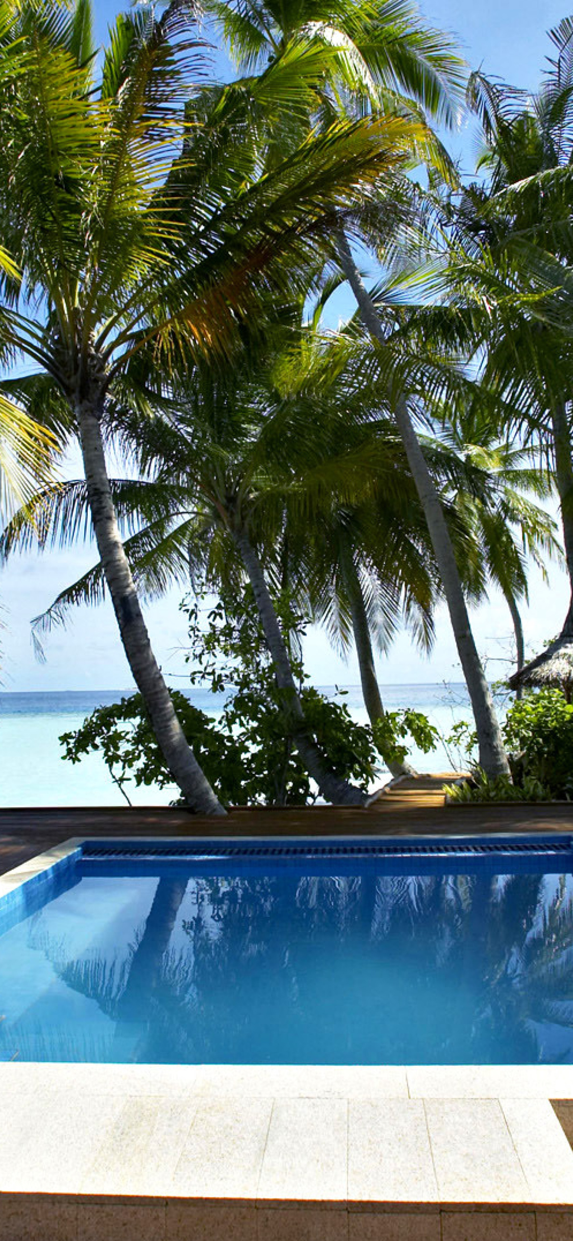 Sfondi Swimming Pool on Tahiti 1170x2532