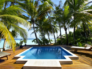 Das Swimming Pool on Tahiti Wallpaper 320x240