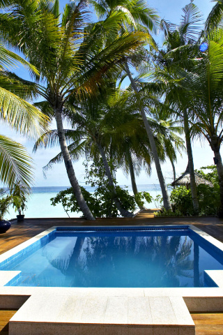 Swimming Pool on Tahiti wallpaper 320x480