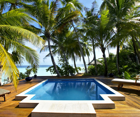 Das Swimming Pool on Tahiti Wallpaper 480x400