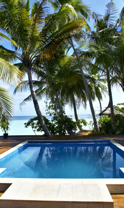 Swimming Pool on Tahiti wallpaper 480x800