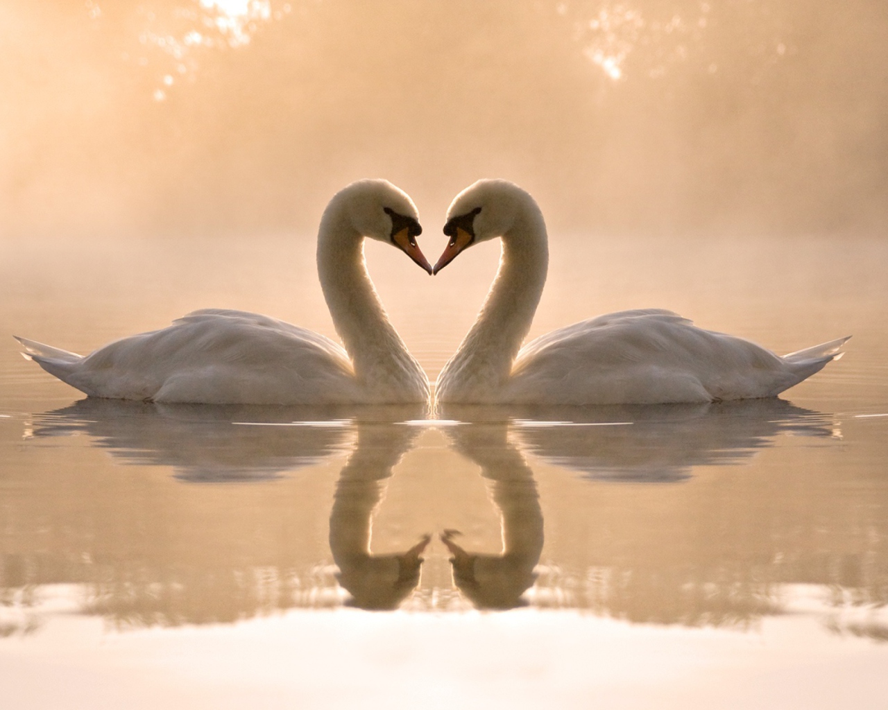 Two Swans screenshot #1 1280x1024