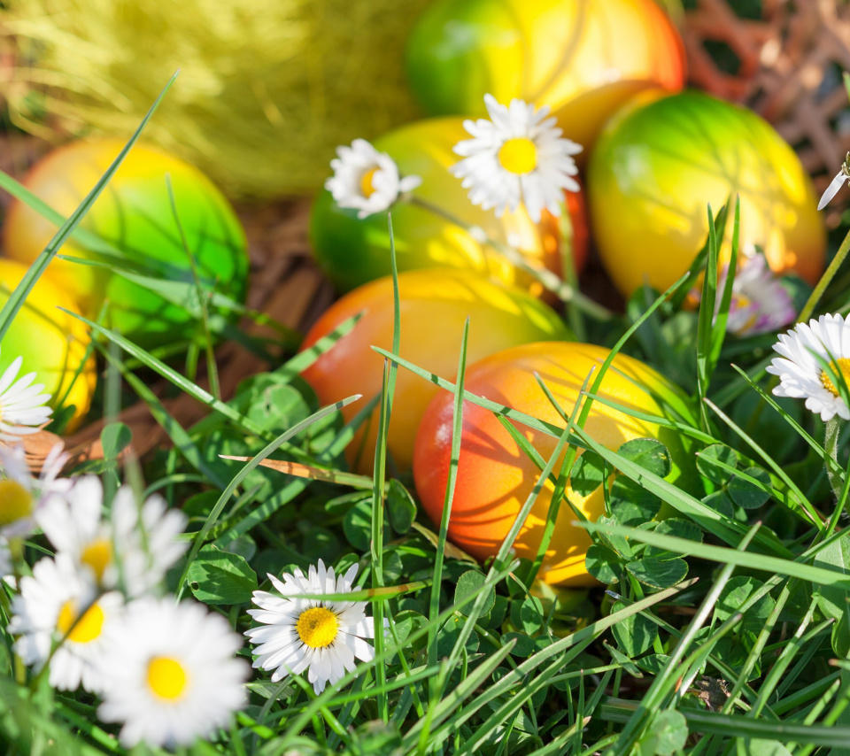 Chamomile and colored eggs wallpaper 960x854