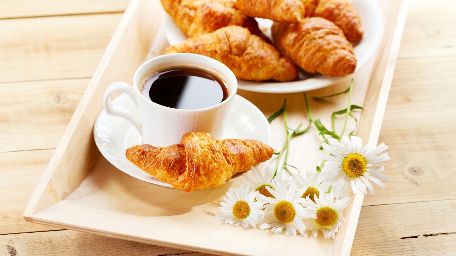 Обои Breakfast with Croissants 1600x900