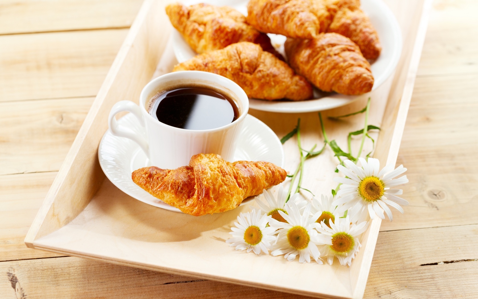 Обои Breakfast with Croissants 1680x1050