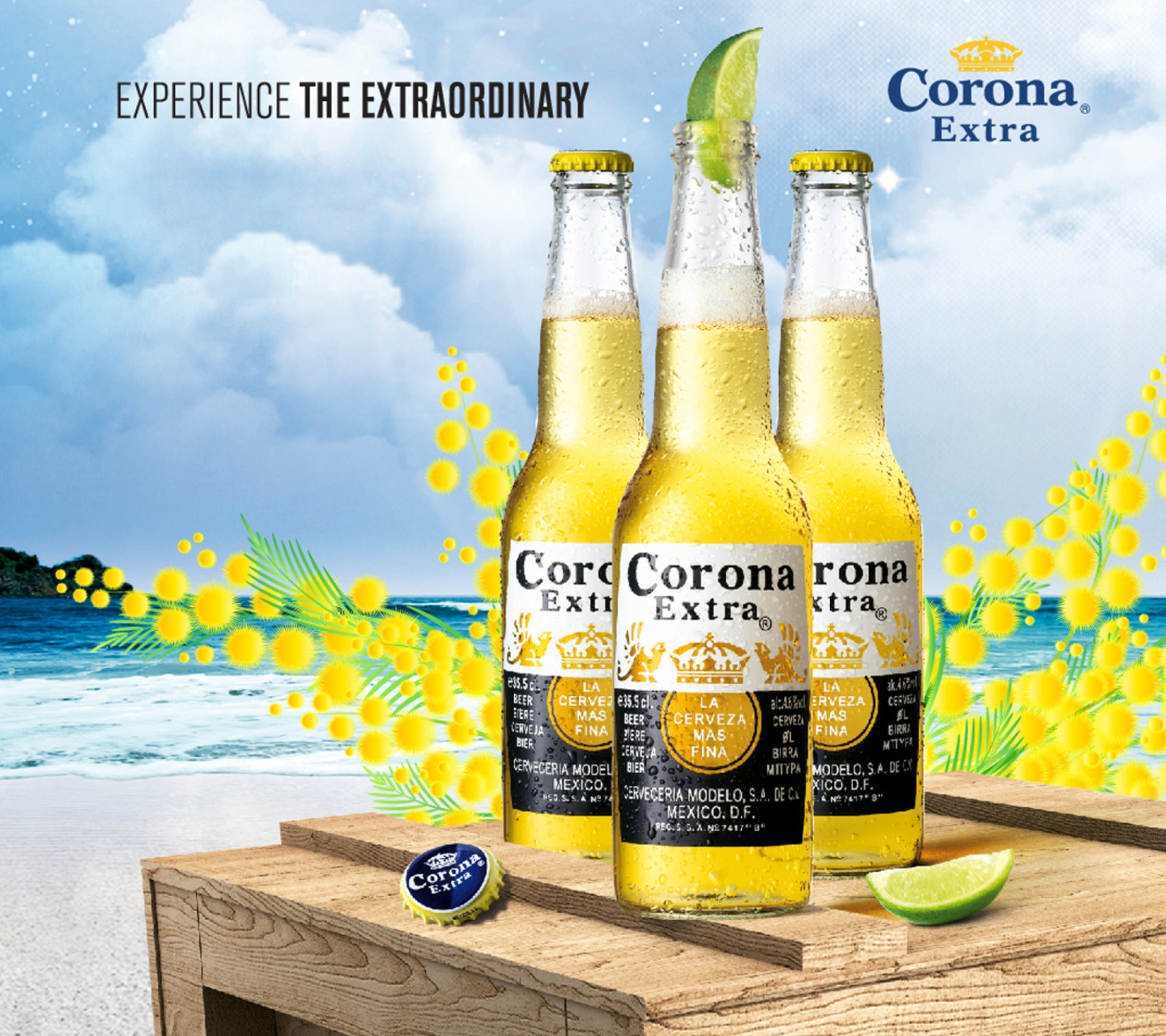 La Cerveza Corona wallpaper 1440x1280