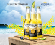 Screenshot №1 pro téma La Cerveza Corona 176x144
