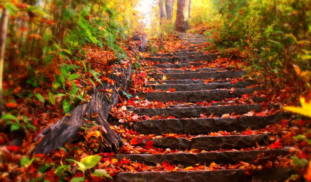 Red Leaves On Stairs wallpaper 1024x600