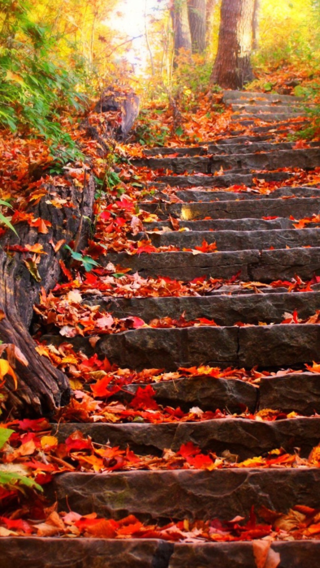 Sfondi Red Leaves On Stairs 640x1136