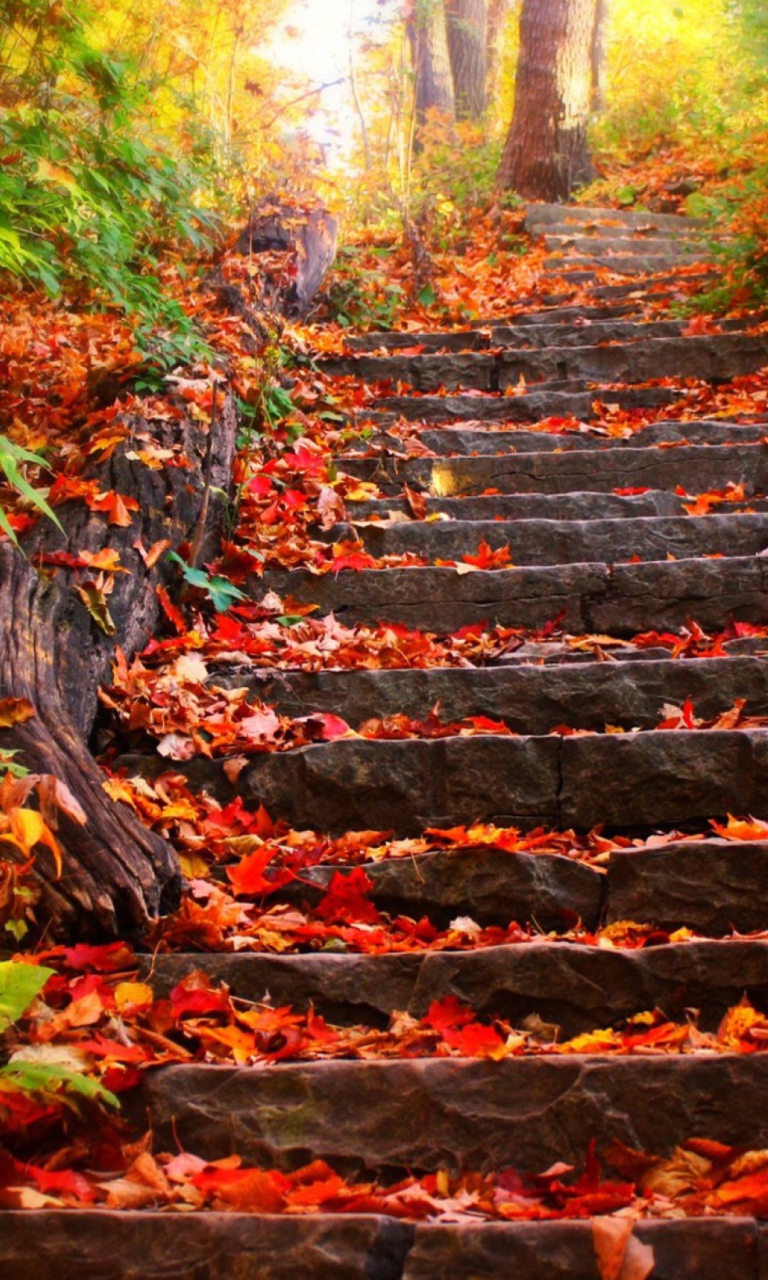 Обои Red Leaves On Stairs 768x1280