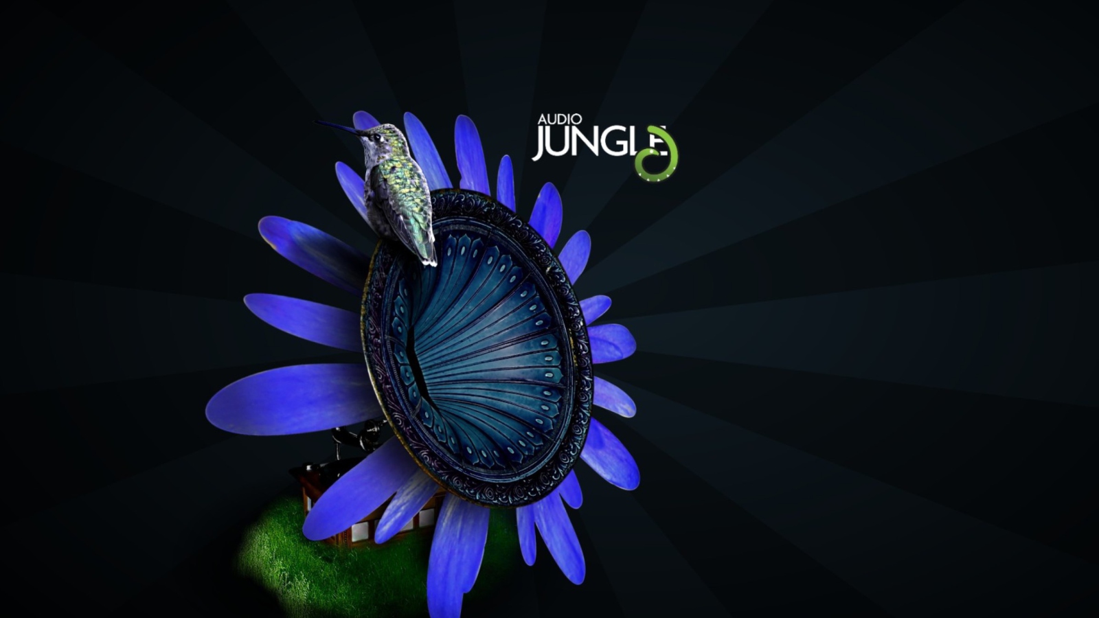 Обои Audio Jungle Wallpaper 1600x900