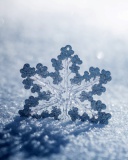 Das Snowflake Macro HD Wallpaper 128x160
