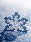 Sfondi Snowflake Macro HD 132x176