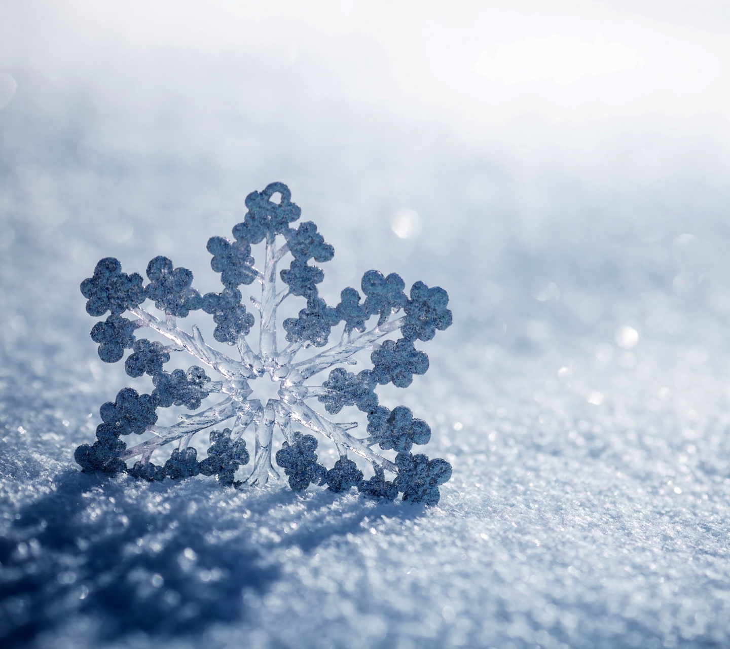 Das Snowflake Macro HD Wallpaper 1440x1280
