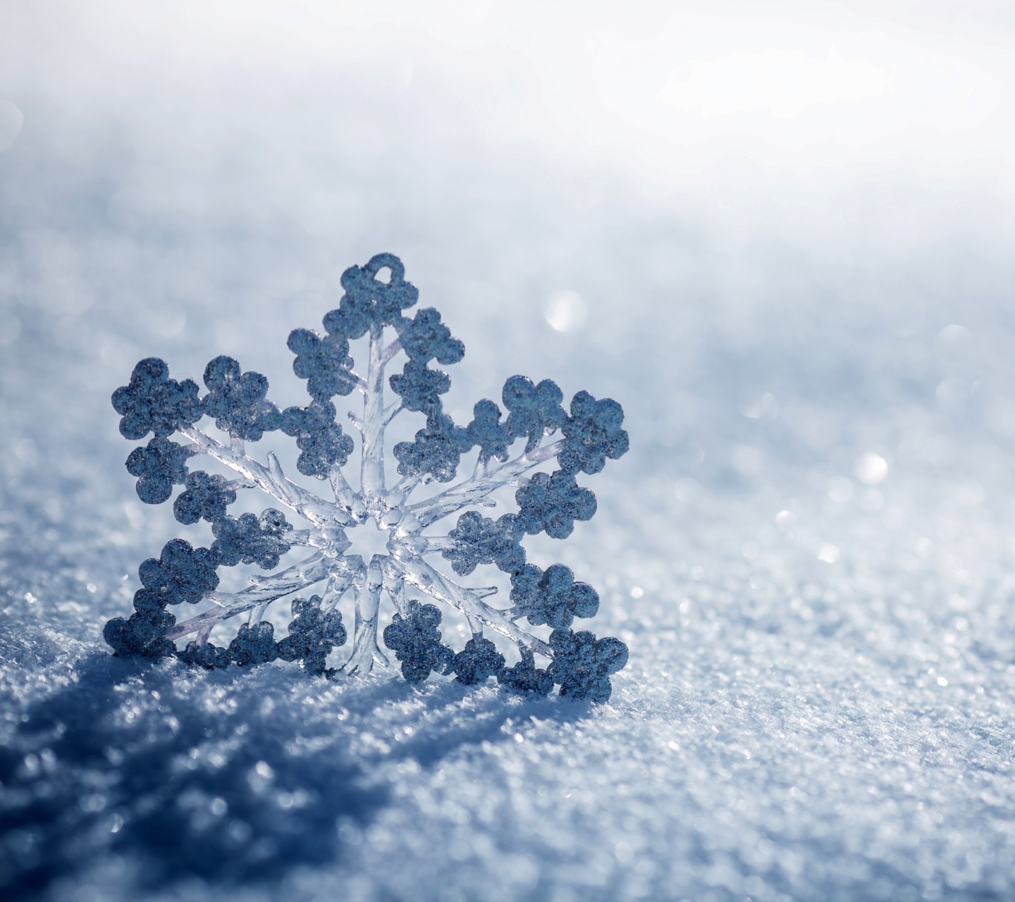 Snowflake Macro HD screenshot #1 1440x1280