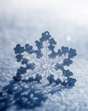 Snowflake Macro HD wallpaper 176x220