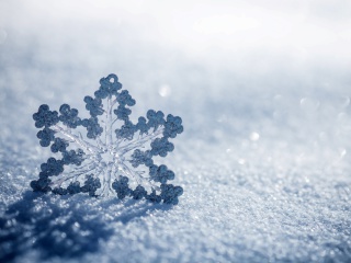 Sfondi Snowflake Macro HD 320x240