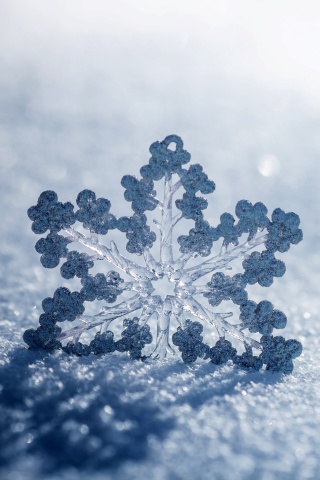 Sfondi Snowflake Macro HD 320x480