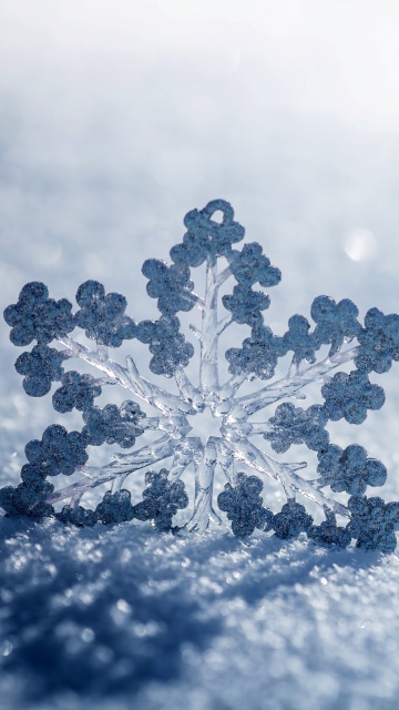 Fondo de pantalla Snowflake Macro HD 360x640