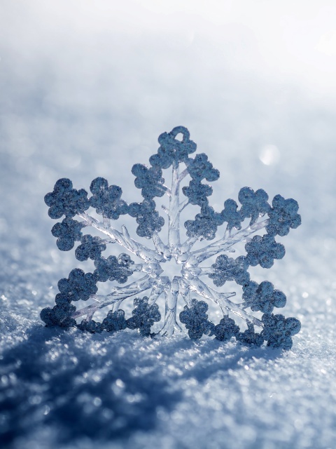 Das Snowflake Macro HD Wallpaper 480x640