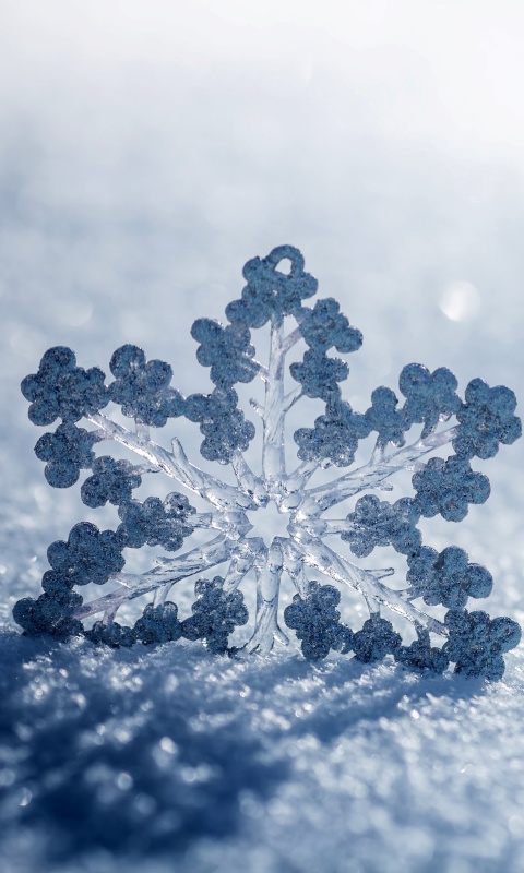 Обои Snowflake Macro HD 480x800