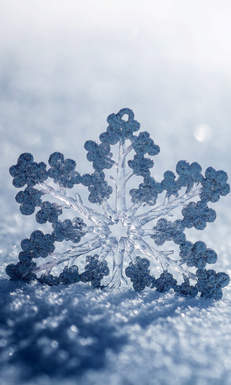 Sfondi Snowflake Macro HD 768x1280