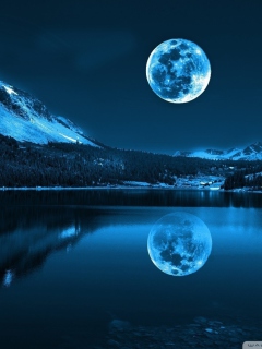 Fondo de pantalla Moonlight Night 240x320