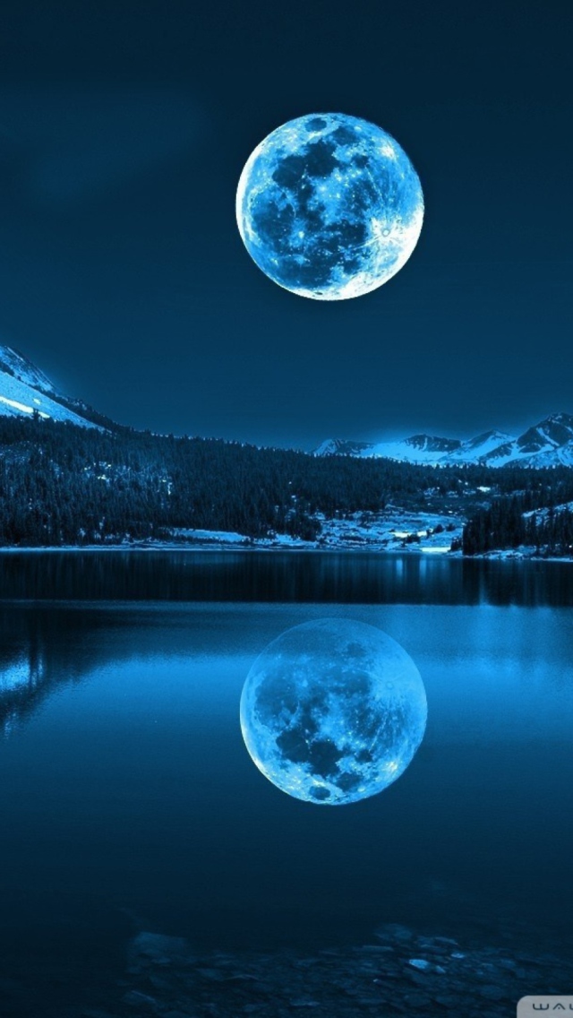 Moonlight Night wallpaper 640x1136