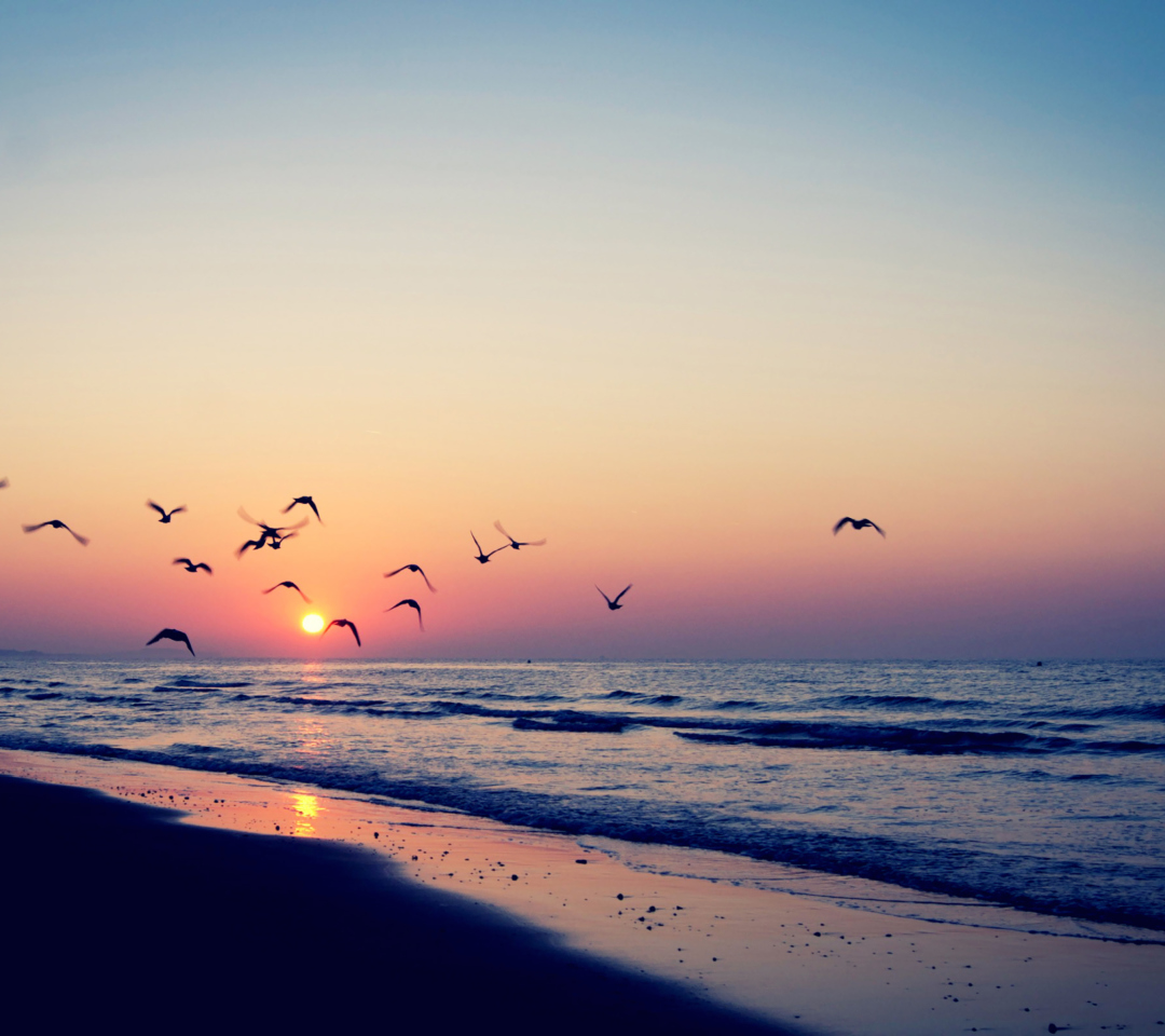 Обои Birds And Ocean Sunset 1080x960