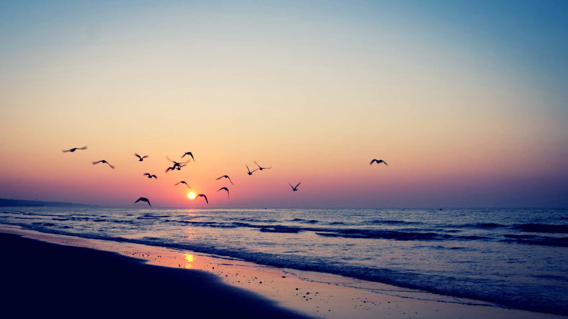 Sfondi Birds And Ocean Sunset 1920x1080