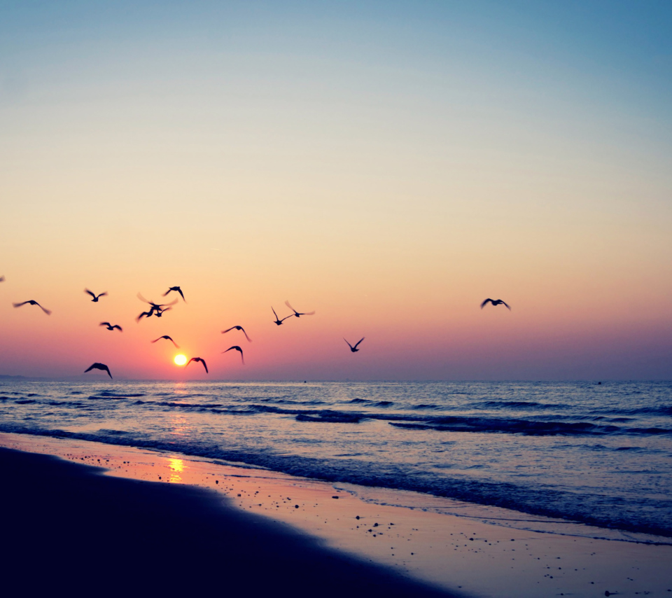 Обои Birds And Ocean Sunset 960x854