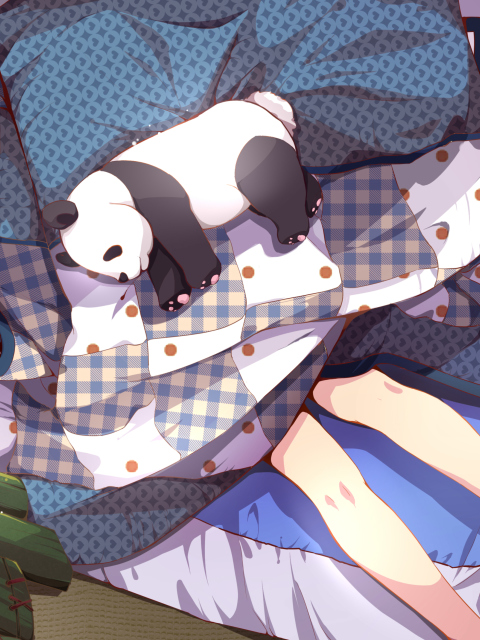 Sfondi Sleeping Panda 480x640