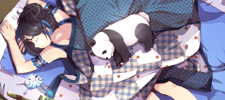 Sleeping Panda wallpaper 720x320