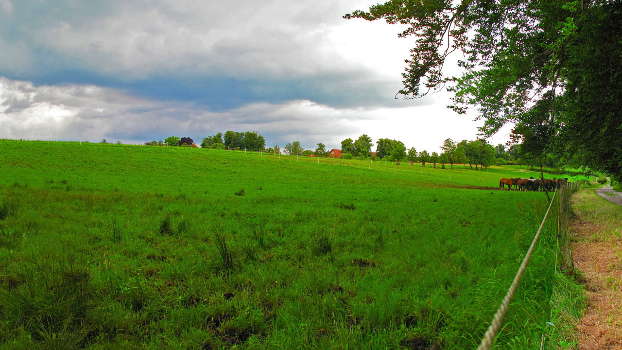 Fondo de pantalla Bavarian meadow 1280x720