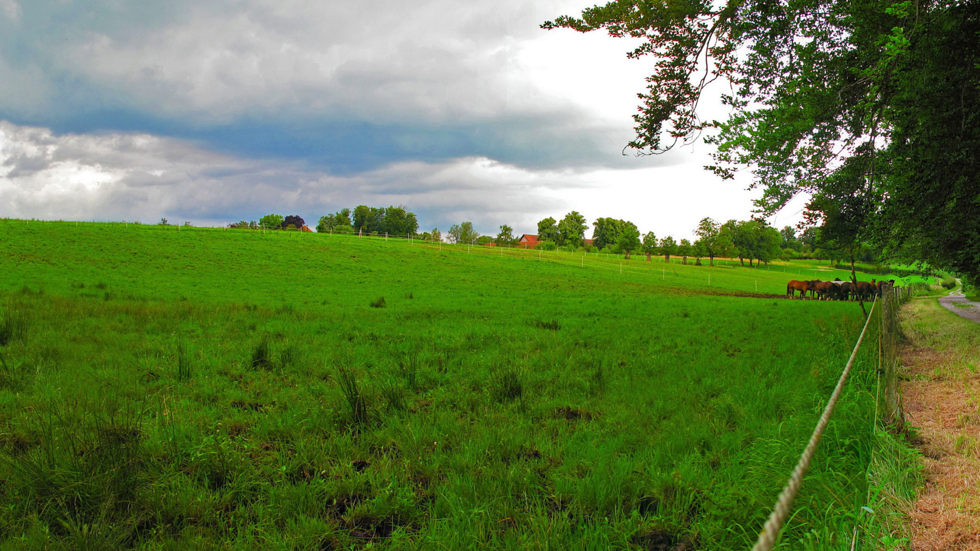 Das Bavarian meadow Wallpaper 1920x1080