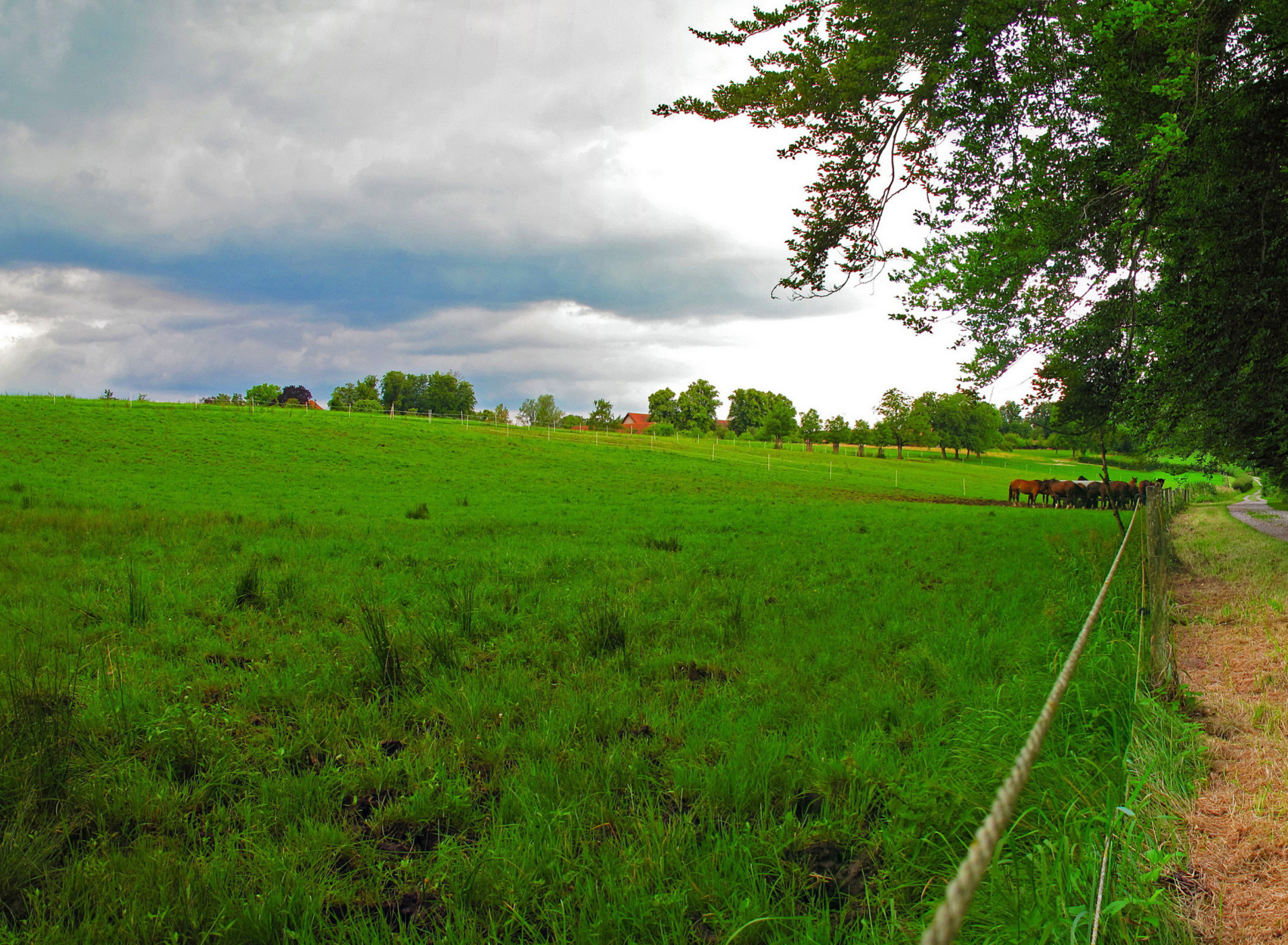 Fondo de pantalla Bavarian meadow 1920x1408