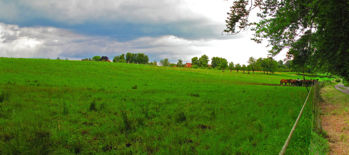 Bavarian meadow wallpaper 720x320