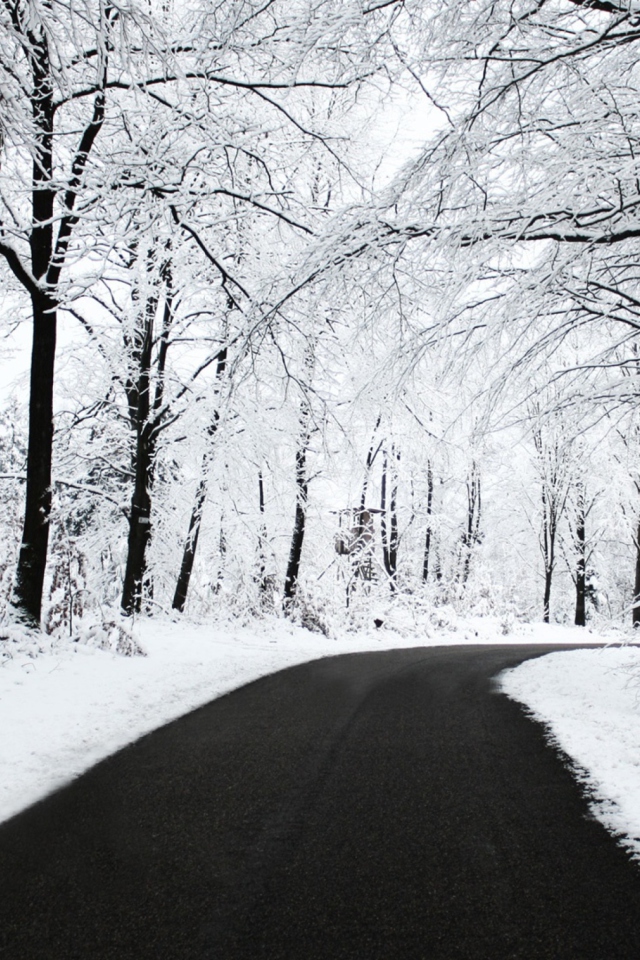 White Forest screenshot #1 640x960