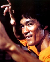 Bruce Lee screenshot #1 176x220