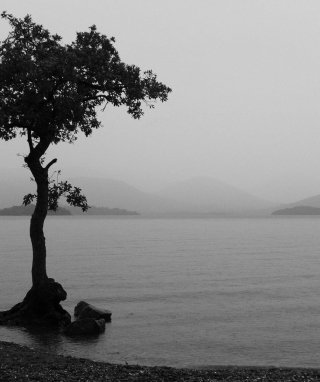 Lonely Tree Lake - Obrázkek zdarma pro Nokia C6