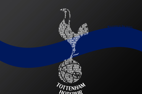 Das Tottenham Hotspur Wallpaper 480x320