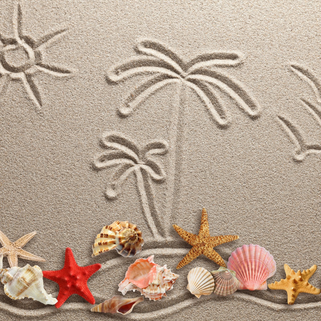 Sfondi Seashells Texture on Sand 1024x1024