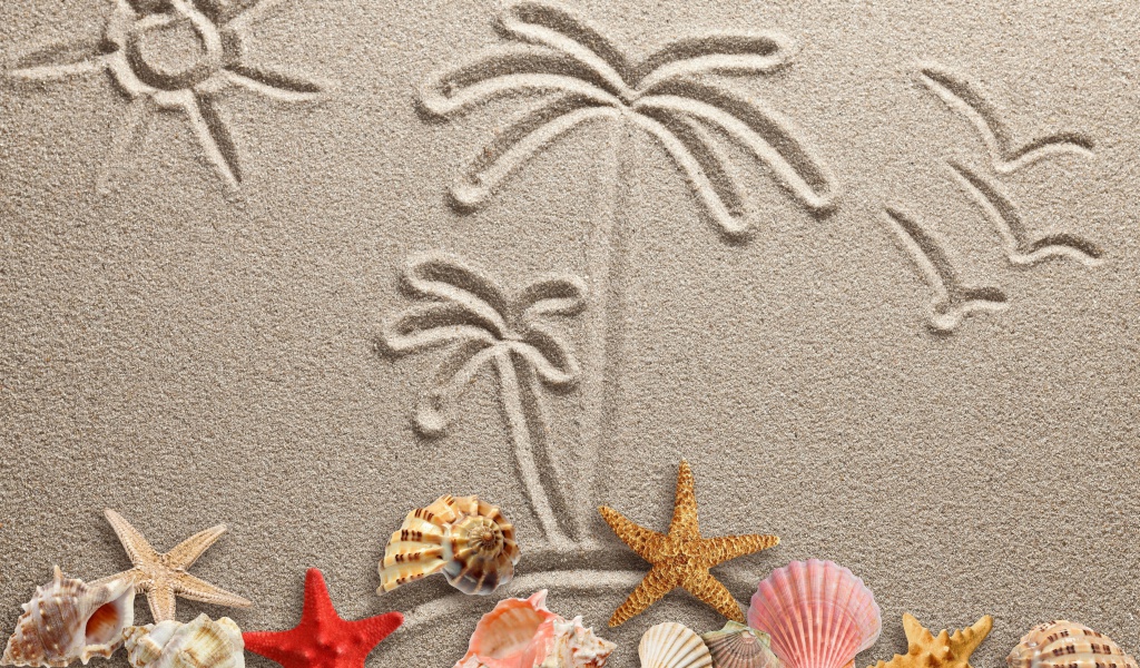 Sfondi Seashells Texture on Sand 1024x600