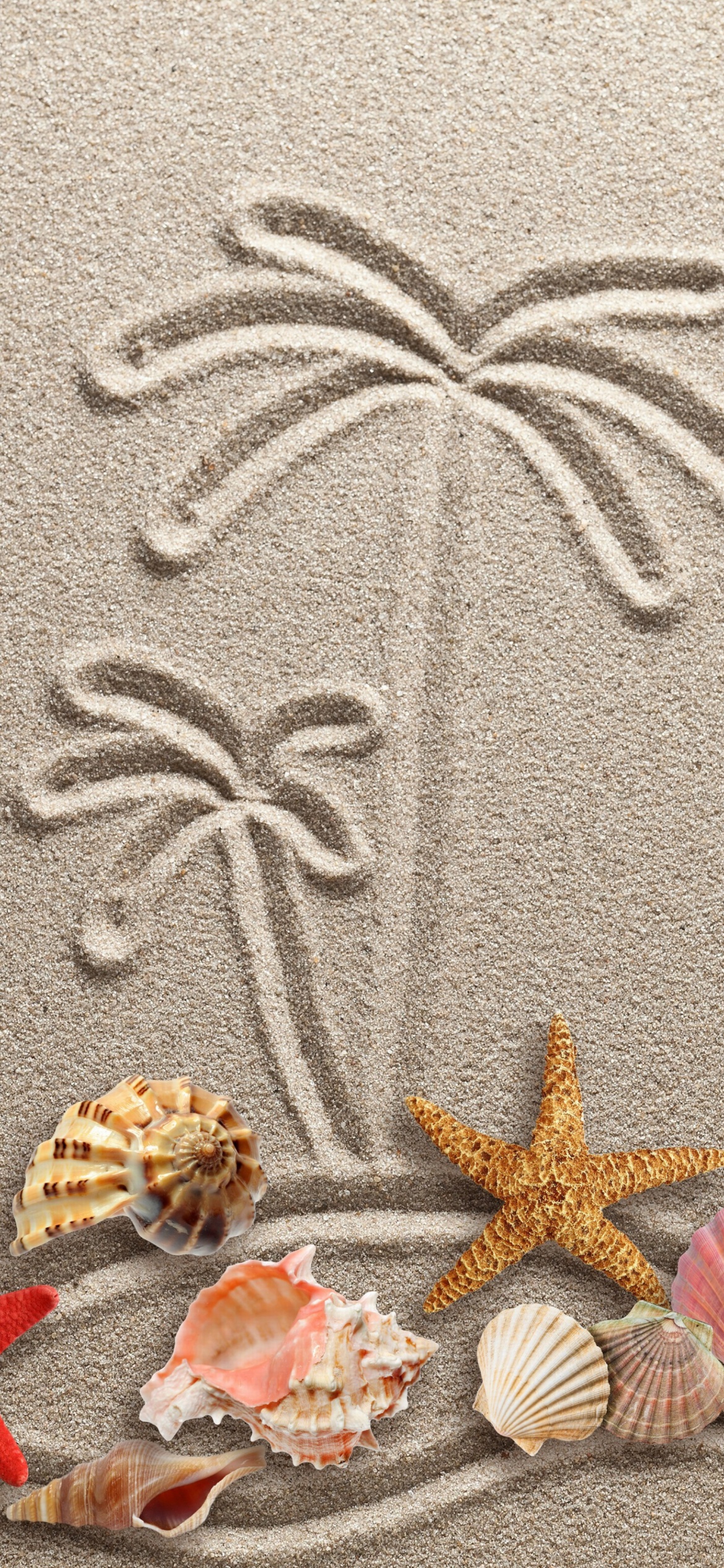 Das Seashells Texture on Sand Wallpaper 1170x2532